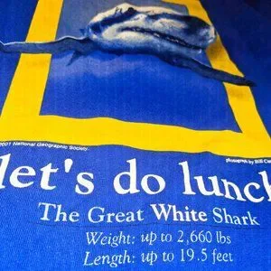 トップス National Geographic Shark Tee National Geographic™ Great White Shark Tee for Toddler Boys